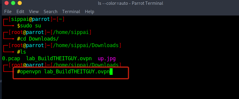 open HTB VPN on terminal BuildingTHEITGUY